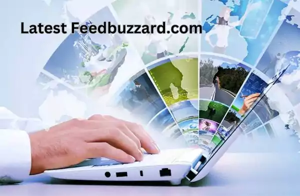 latest feedbuzzard com